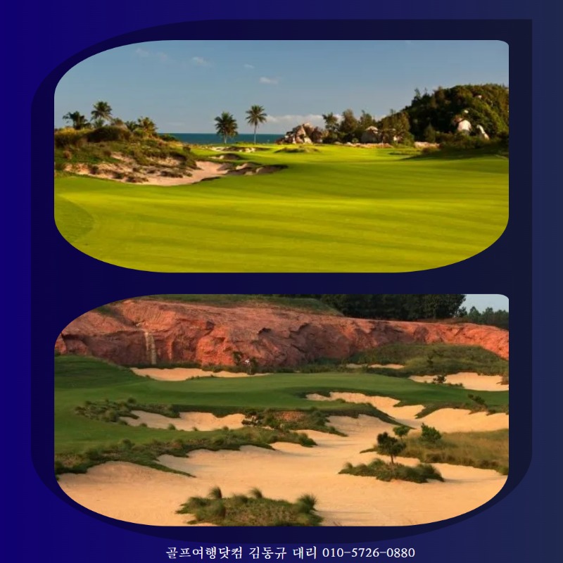 사자호3색 5.jpg
