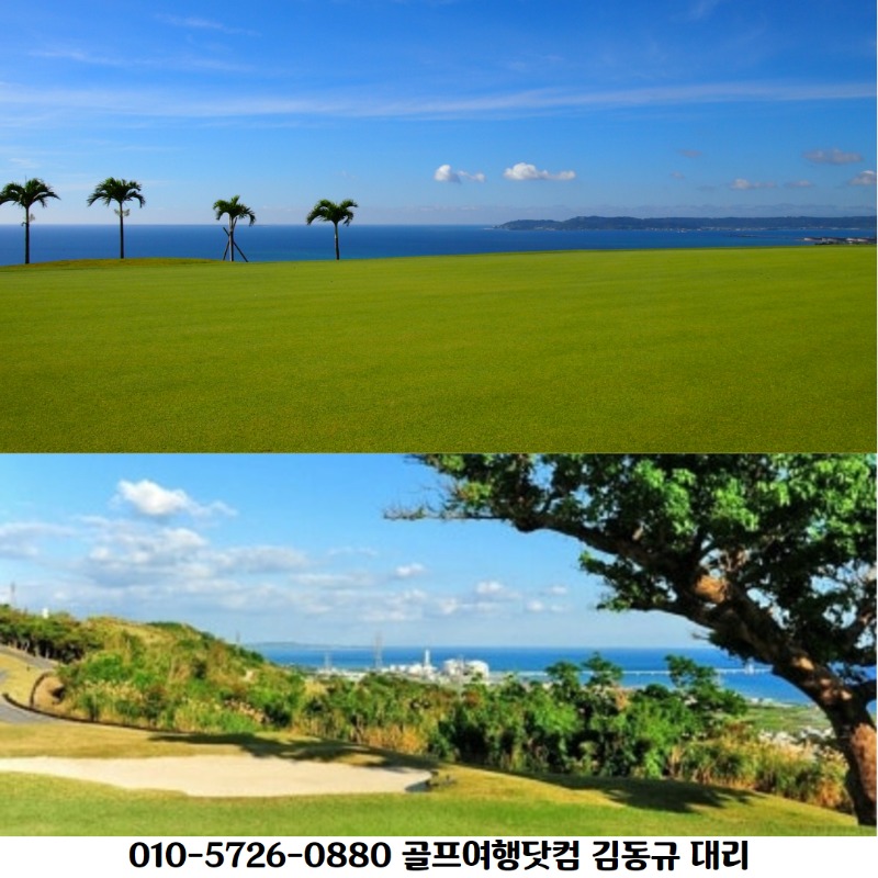 오키나와 하버뷰 6.jpg