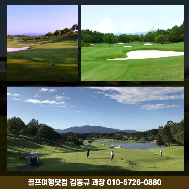 나고야 이치시 6.jpg