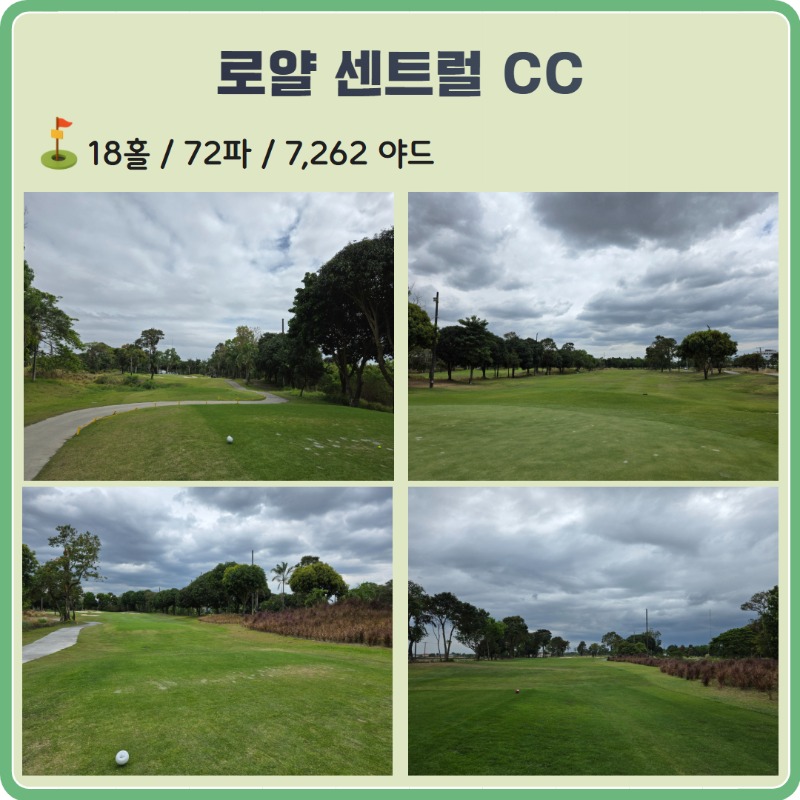 sjkk (9).jpg