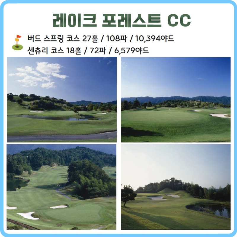 SJK (4).jpg