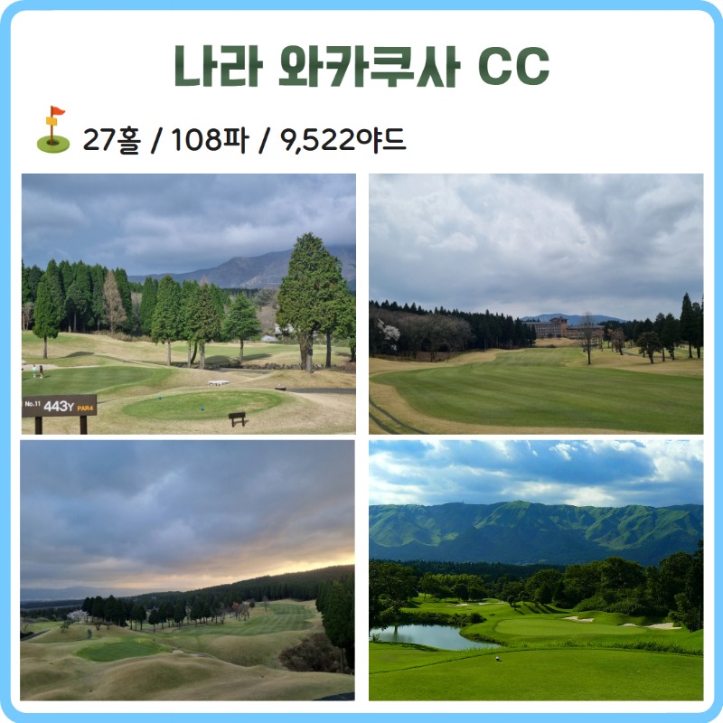 SJK (6).jpg
