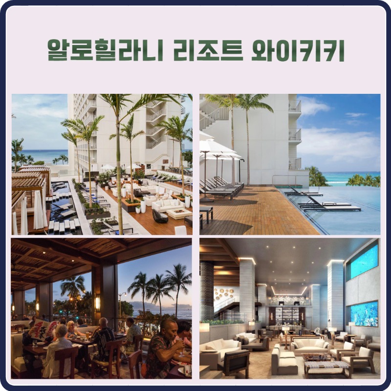 하와이 빅아일랜드섬  오아후섬 3.jpg