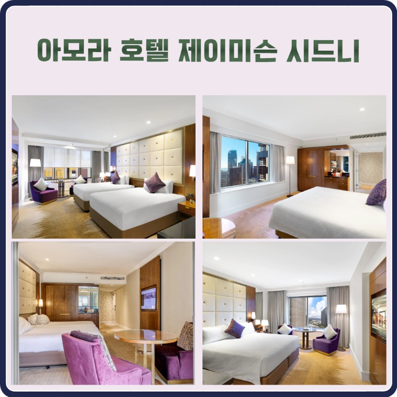 호주 시드니 골드코스트  4.jpg
