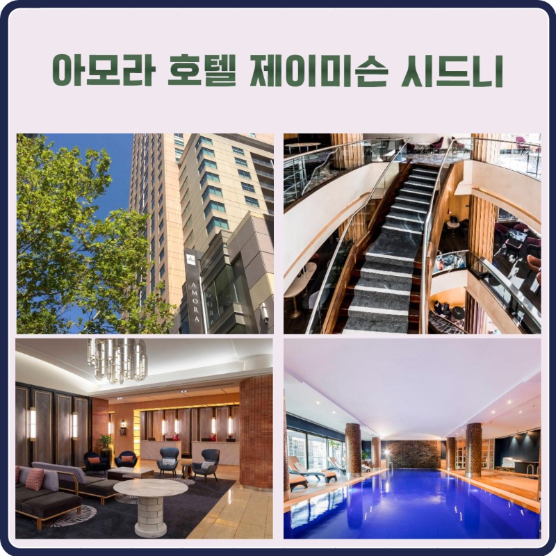 호주 시드니 골드코스트  3.jpg