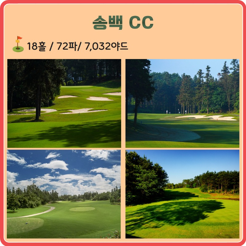 황산 송백 CC 4.jpg