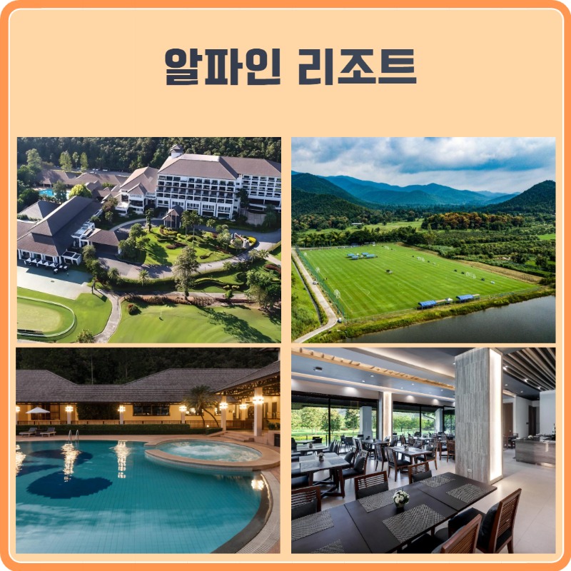 알파인 CC 2.jpg
