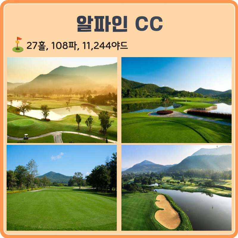 알파인 CC 4.jpg