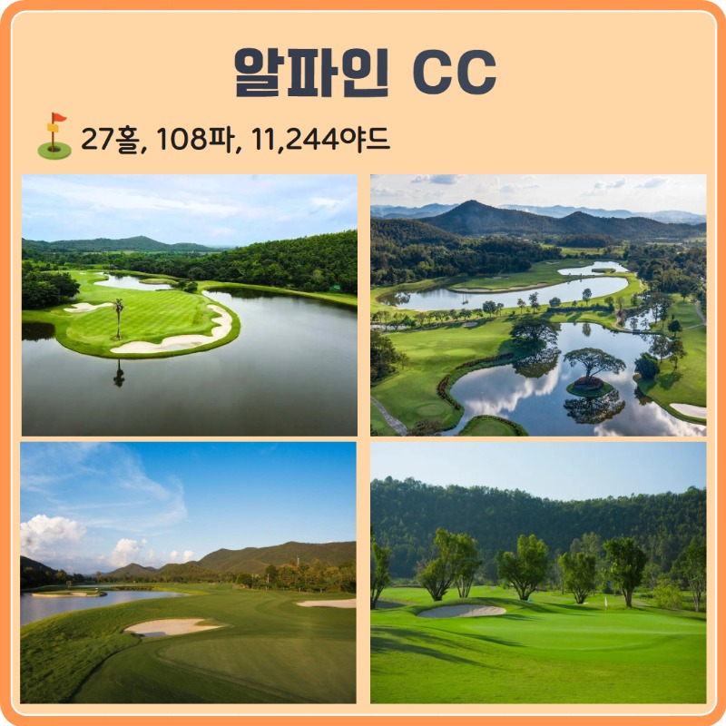 알파인 CC 5.jpg