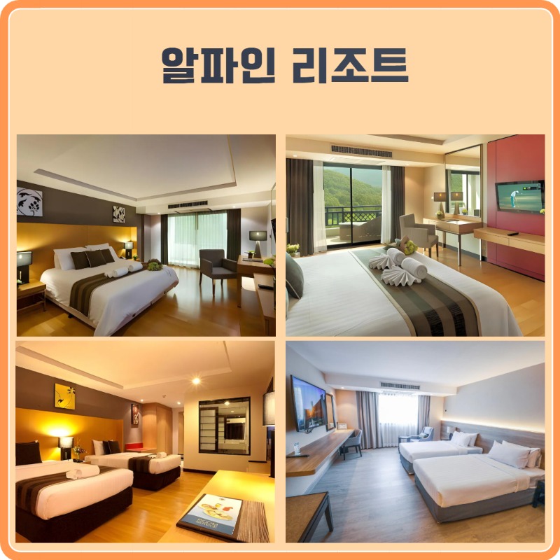 알파인 CC 3.jpg