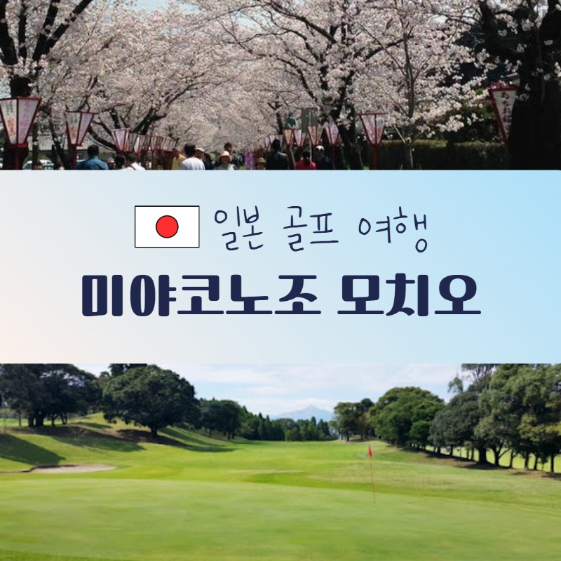 미야자키 모치오.jpg